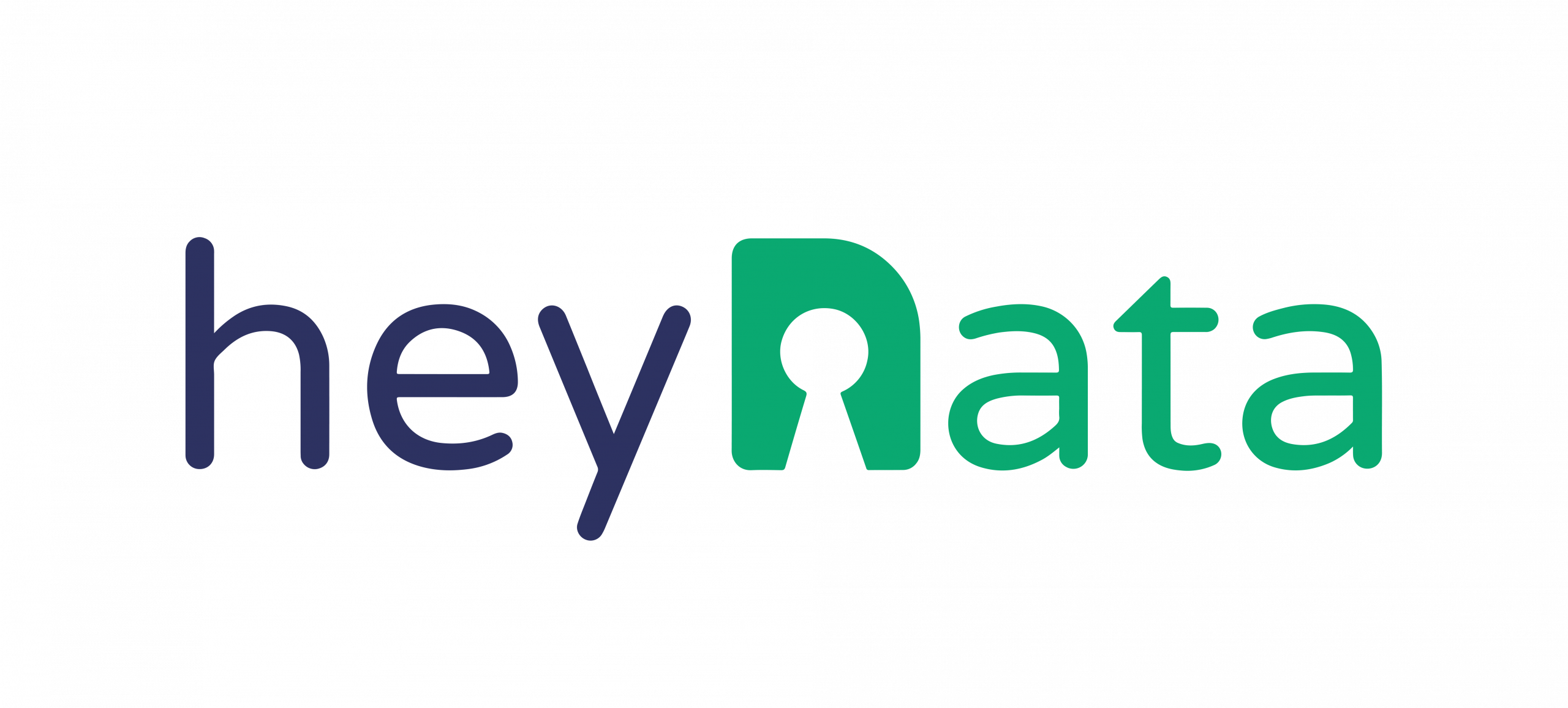 heydata logo compliance software test transparent 1 scaled